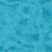  0825 DIVERSION TURQUOISE 