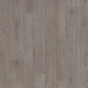 shadow oak