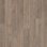 steamed oak