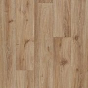 hazelnut oak