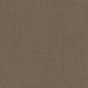  0049 DIVERSION CARBONE 