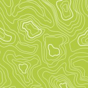 lime topography