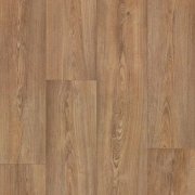 warm chestnut