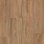 warm chestnut