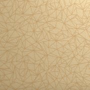 0954 SPIDER DORE 