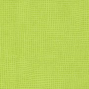  0515 DIVERSION KIWI 