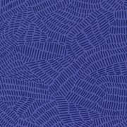 blue doodle