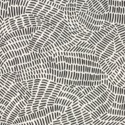 black & white doodle