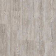grey pine