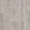 grey pine