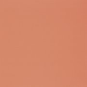  1091 UNI MATT CORAIL 