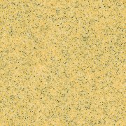  0621 PIXEL VANILLA 