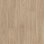 bleached elegant oak