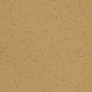 4039 PAN 
