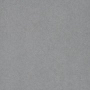 light neutral grey