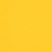 yellow uni