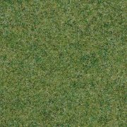 field