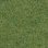 field