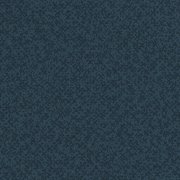 79