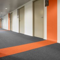  Balsan Karma