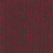 570 