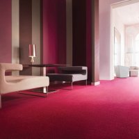 Balsan Constellation