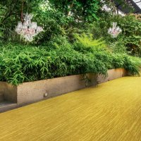 Balsan Jungle