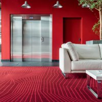 Balsan Mikado