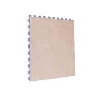  1555 Sandstone 