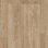 Winter Pine SOFT NATU