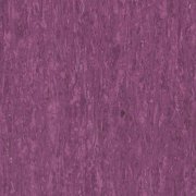 Optima PURPLE 0255