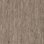 Optima BROWN BEIGE 0899