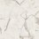NATURALS - Carrara Grande - White