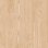 NATURALS - Douglas Pine - Creme