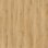 CLASSICS - English Oak - Classical