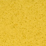  4422 MANGO 