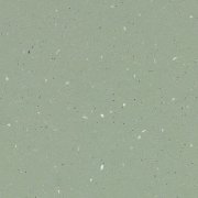 light kelp