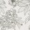 peony grey